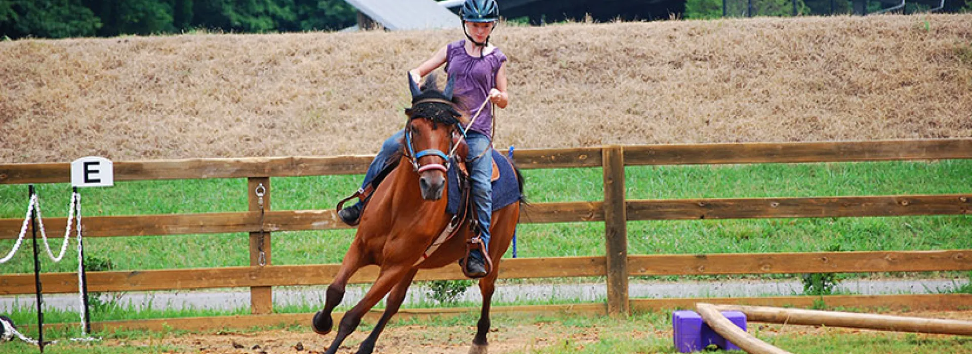 Trail Rides at Nelson Andrews Leadership Lodge